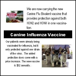 Canine Influenza Vaccine