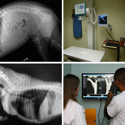 digital radiology