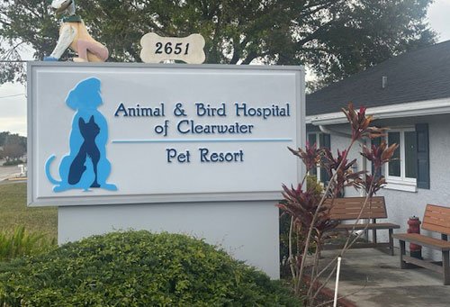 Animal & Bird Hospital of Clearwater exterior Animal & Bird Hospital of Clearwater exterior